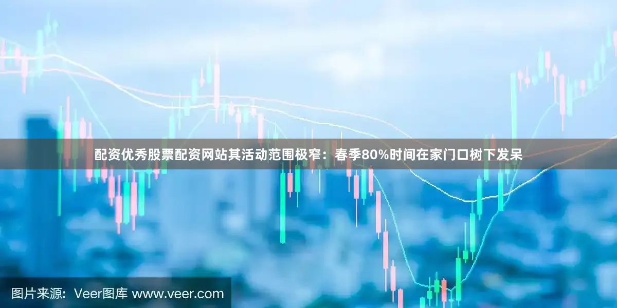 配资优秀股票配资网站其活动范围极窄：春季80%时间在家门口树下发呆