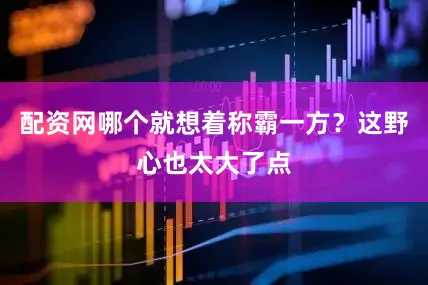 配资网哪个就想着称霸一方？这野心也太大了点