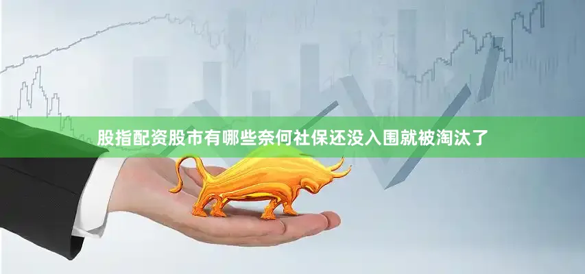股指配资股市有哪些奈何社保还没入围就被淘汰了