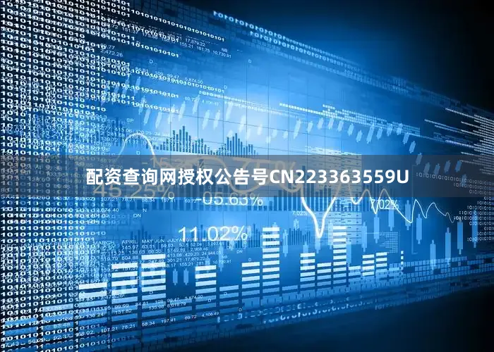 配资查询网授权公告号CN223363559U